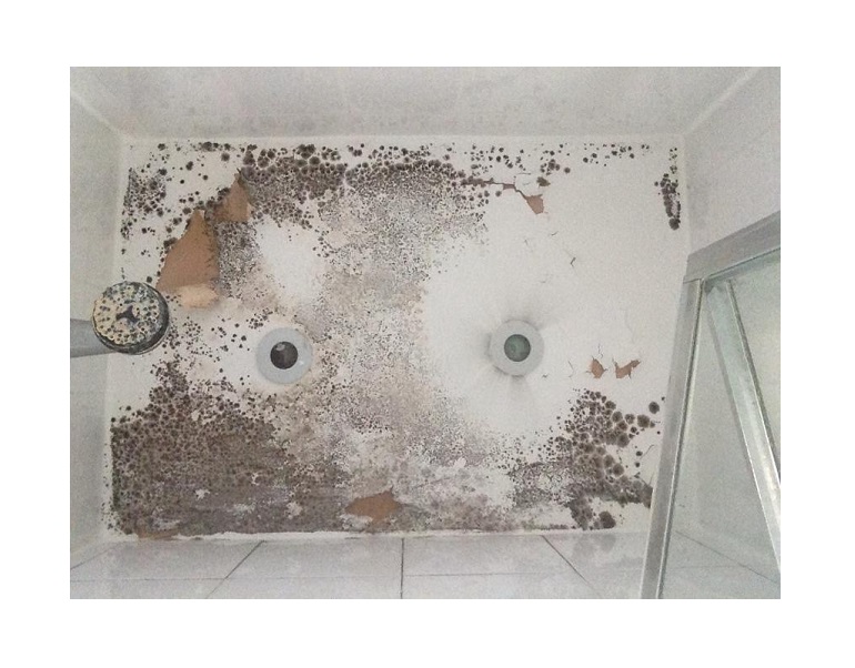 mouldy bathroom ceiling in Central London