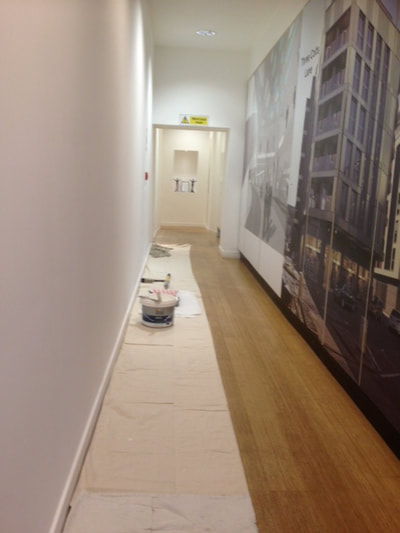 An office wall being painted in Pimlico